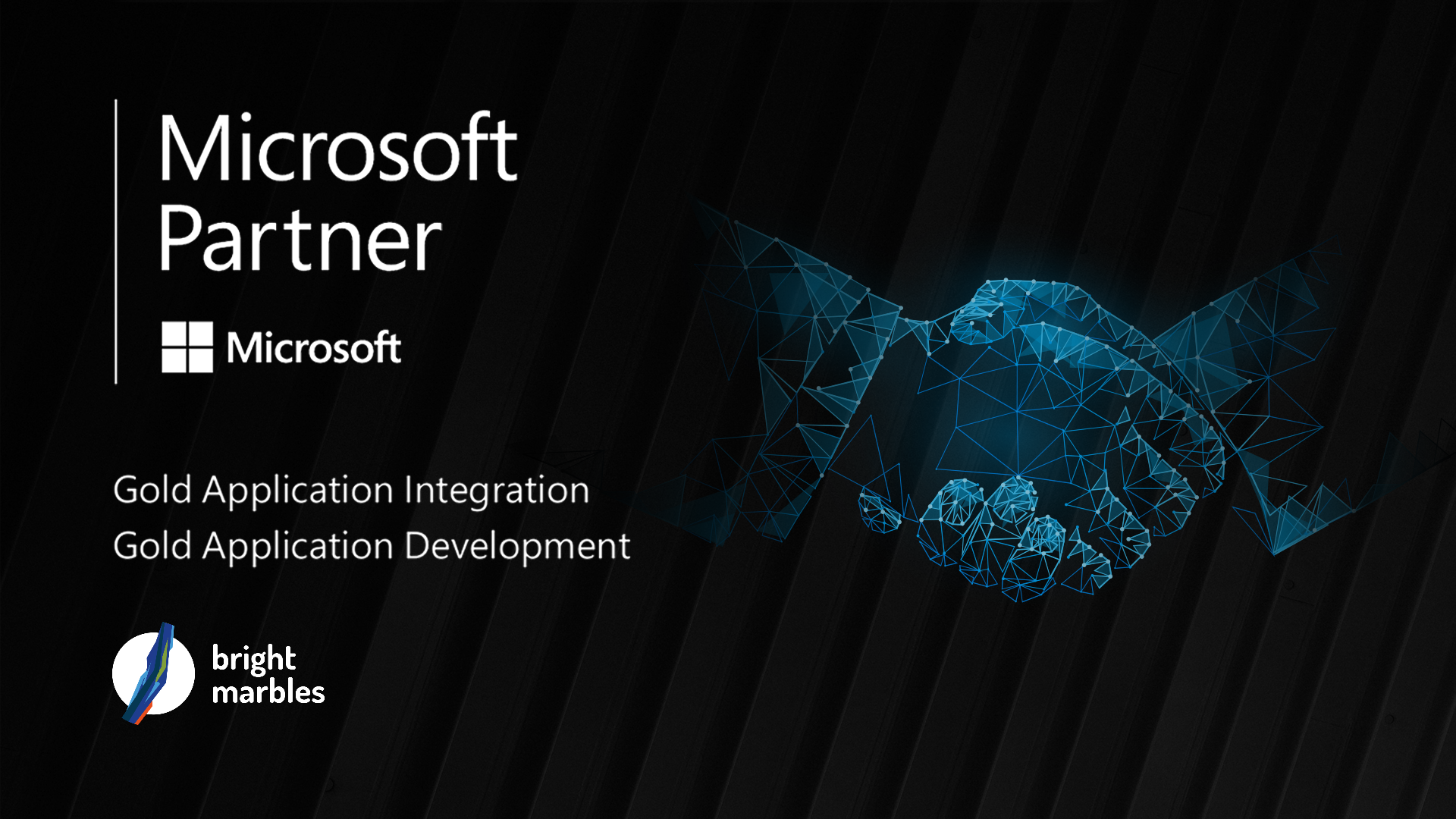 Microsoft partner icon